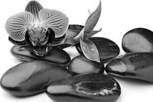 Obraz kamienie do masażu wellness w kolorze czarnym i białym