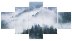 Obraz - Drzewa we mgle (125x70 cm)