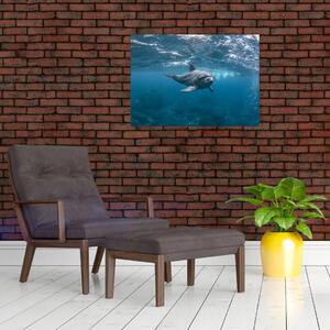 Obraz - Delfin pod wodą (70x50 cm)
