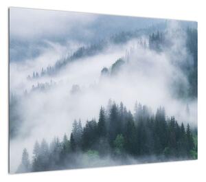 Obraz - Drzewa we mgle (70x50 cm)
