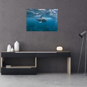 Obraz - Delfin pod wodą (70x50 cm)