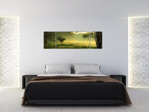 Obraz - Budzący się las (170x50 cm)