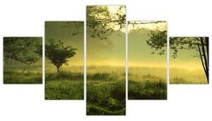 Obraz - Budzący się las (125x70 cm)