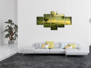 Obraz - Budzący się las (125x70 cm)