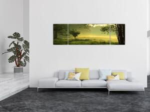 Obraz - Budzący się las (170x50 cm)