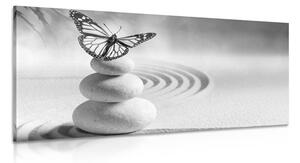 Obraz równowaga kamieni i motyl w wersji czarno-białej