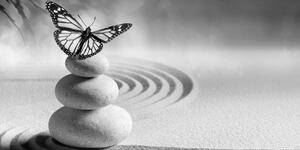 Obraz równowaga kamieni i motyl w wersji czarno-białej