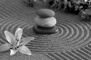 Obraz ogród zen i kamienie w piasku w wersji czarno-białej