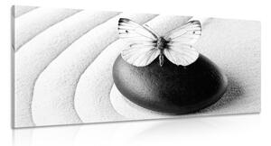 Obraz kamień zen z motylem w wersji czarno-białej