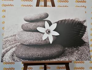 Obraz kwiat i kamienie w piasku w wersji czarno-białej