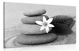 Obraz kwiat i kamienie w piasku w wersji czarno-białej