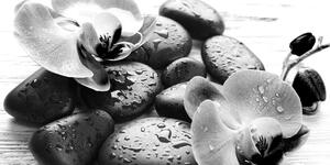 Obraz magiczna gra kamieni i orchidei w wersji czarno-białej