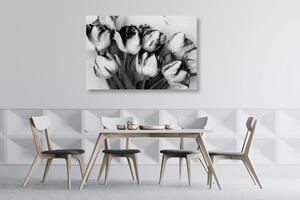 Obraz wiosenne tulipany w wersji czarno-białej