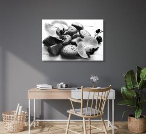 Obraz piękne połączenie kamieni i orchidei w wersji czarno-białej