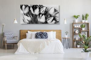 Obraz tulipany w wiosennej odsłonie w wersji czarno-białej