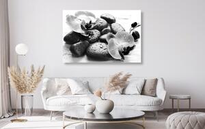 Obraz piękne połączenie kamieni i orchidei w wersji czarno-białej
