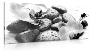 Obraz magiczna gra kamieni i orchidei w wersji czarno-białej