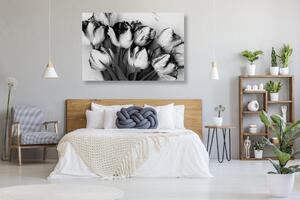 Obraz wiosenne tulipany w wersji czarno-białej