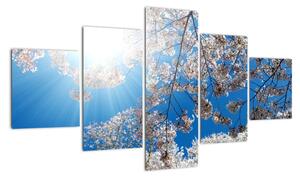 Obraz - Wiśniowe kwiaty (125x70 cm)