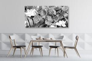 Obraz kwiatów w wersji czarno-białej