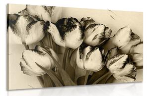 Obraz wiosenne tulipany w sepii
