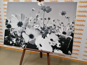 Obraz letnie kwiaty w wersji czarno-białej
