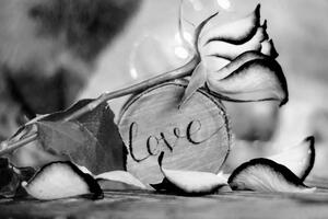 Obraz romantyczne wyznanie w wersji czarno-białej Love