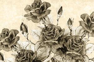 Obraz bukiet róż w stylu vintage w sepii