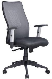 Krzesło biurowe Manutan Penelope, szare