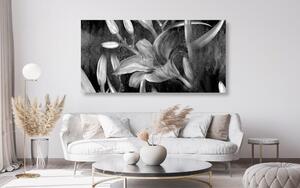 Obraz kwiat lilii w wersji czarno-białej