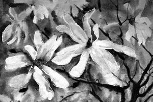 Obraz kwitnące akwarelowe drzewo w wersji czarno-białej