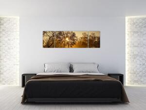 Obraz - Wschód słońca (170x50 cm)