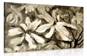 Obraz kwitnące akwarelowe drzewo w sepii