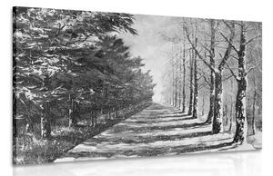Obraz jesienna aleja drzew w wersji czarno-białej