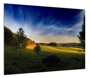 Obraz - Górska łąka (70x50 cm)
