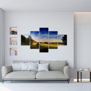 Obraz - Górska łąka (125x70 cm)