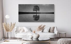 Obraz rozgwieżdżone niebo nad samotnym drzewem w wersji czarno-białej