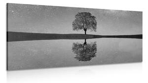 Obraz rozgwieżdżone niebo nad samotnym drzewem w wersji czarno-białej