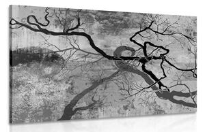Obraz surrealistyczne drzewa w wersji czarno-białej