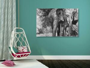 Obraz rodzina słoni w wersji czarno-białej