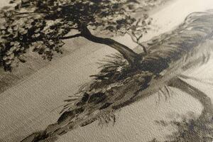 Obraz wiśnia orientalna w sepii