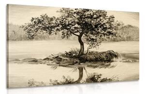 Obraz wiśnia orientalna w sepii
