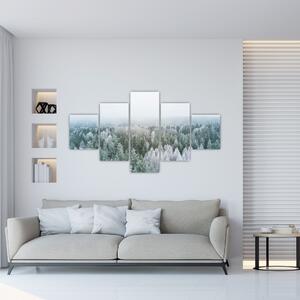 Obraz - Ośnieżone szczyty lasów (125x70 cm)
