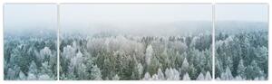 Obraz - Ośnieżone szczyty lasów (170x50 cm)