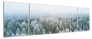 Obraz - Ośnieżone szczyty lasów (170x50 cm)