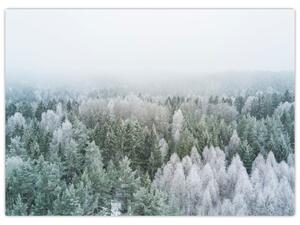 Obraz - Ośnieżone szczyty lasów (70x50 cm)