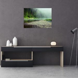 Obraz - rzeka przy lesie (70x50 cm)
