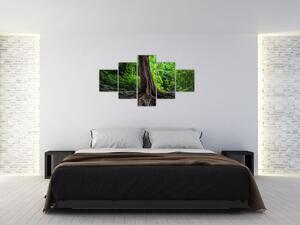 Obraz - Stare drzewo z korzeniami (125x70 cm)