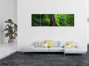 Obraz - Stare drzewo z korzeniami (170x50 cm)