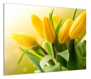 Obraz - Żółte tulipany (70x50 cm)